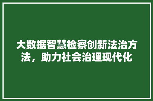大数据智慧检察创新法治方法，助力社会治理现代化