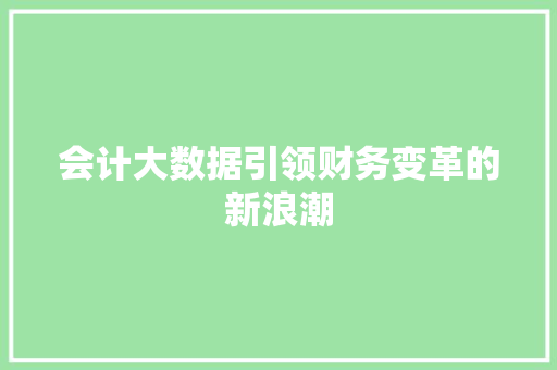 会计大数据引领财务变革的新浪潮  第1张