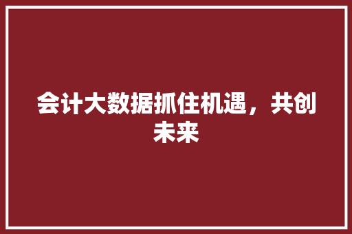 会计大数据抓住机遇，共创未来  第1张