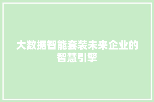 大数据智能套装未来企业的智慧引擎