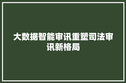 大数据智能审讯重塑司法审讯新格局