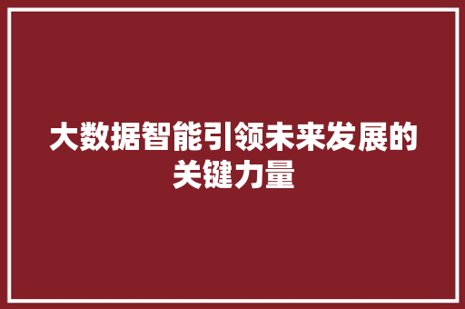 大数据智能引领未来发展的关键力量