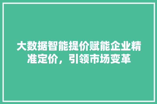 大数据智能提价赋能企业精准定价，引领市场变革  第1张