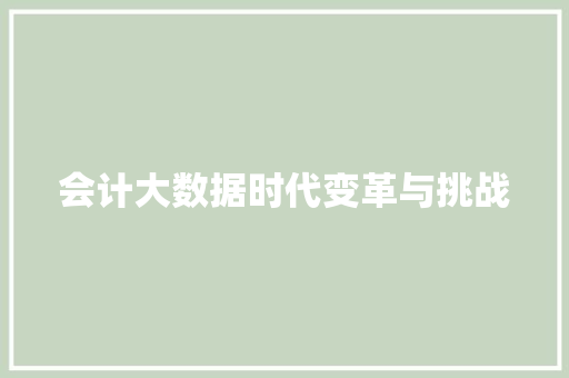 会计大数据时代变革与挑战  第1张