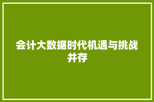 会计大数据时代机遇与挑战并存