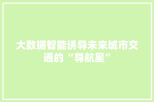 大数据智能诱导未来城市交通的“导航星”