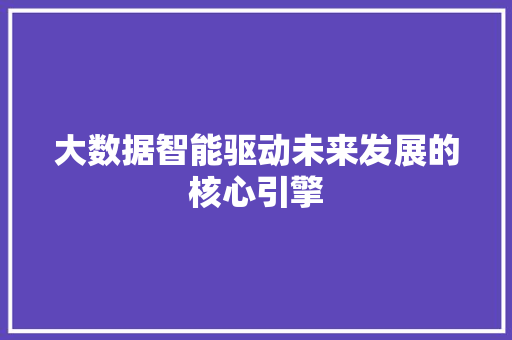 大数据智能驱动未来发展的核心引擎  第1张