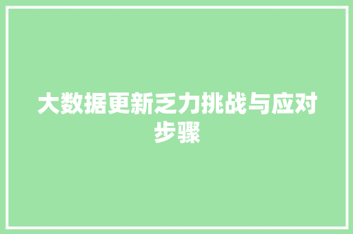大数据更新乏力挑战与应对步骤