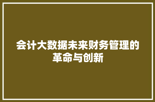 会计大数据未来财务管理的革命与创新  第1张