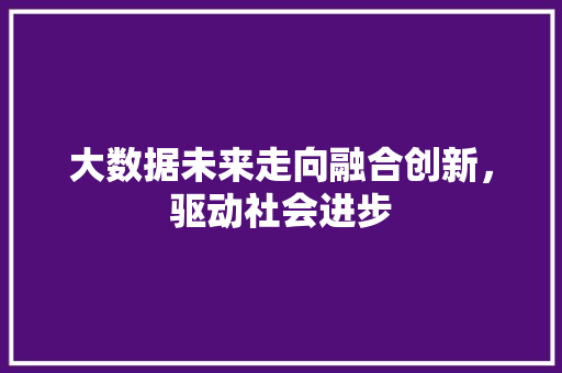 大数据未来走向融合创新，驱动社会进步  第1张