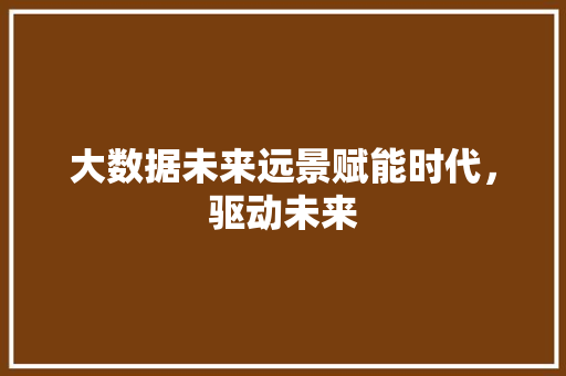 大数据未来远景赋能时代，驱动未来  第1张