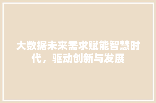 大数据未来需求赋能智慧时代，驱动创新与发展  第1张