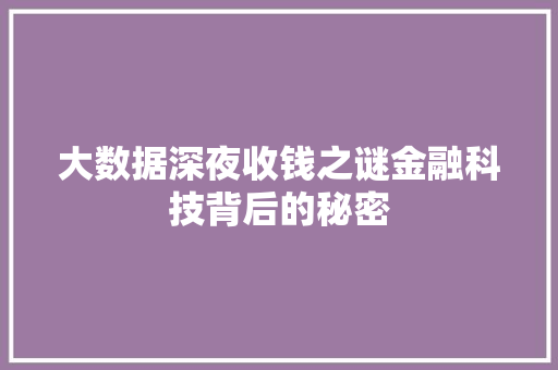大数据深夜收钱之谜金融科技背后的秘密  第1张