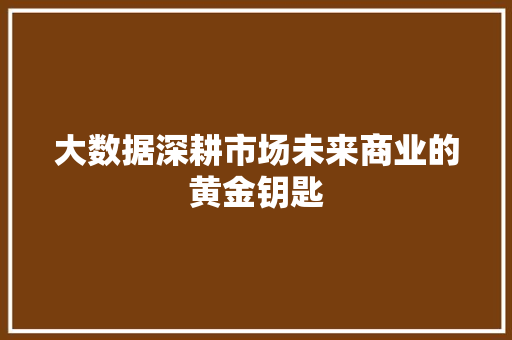 大数据深耕市场未来商业的黄金钥匙