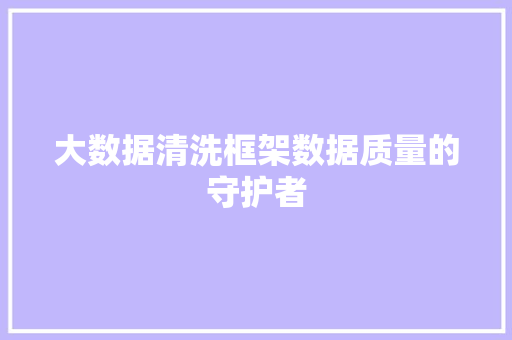 大数据清洗框架数据质量的守护者