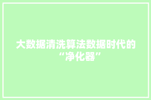 大数据清洗算法数据时代的“净化器”