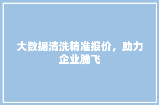 大数据清洗精准报价，助力企业腾飞  第1张