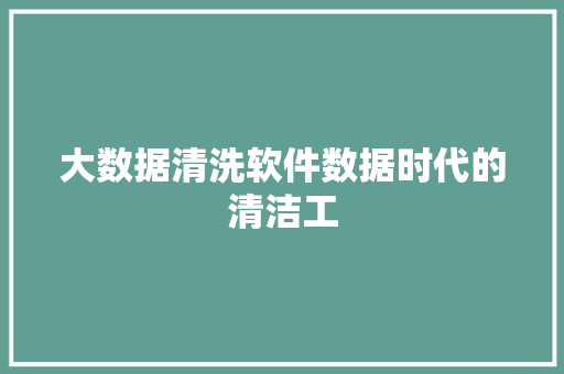 大数据清洗软件数据时代的清洁工