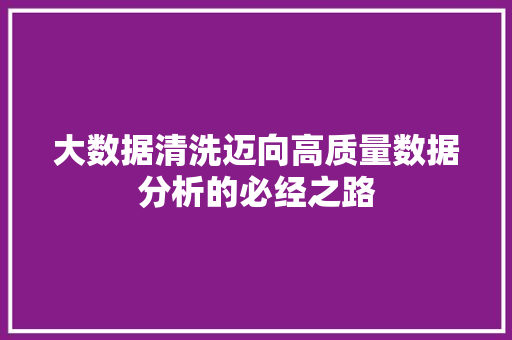 大数据清洗迈向高质量数据分析的必经之路