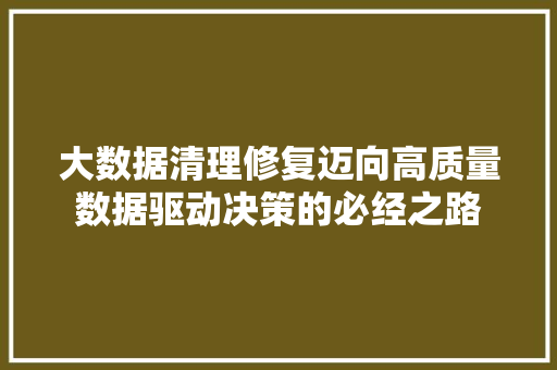 大数据清理修复迈向高质量数据驱动决策的必经之路
