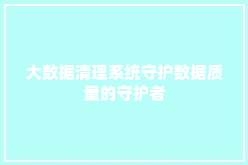 大数据清理系统守护数据质量的守护者
