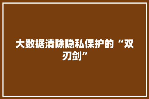 大数据清除隐私保护的“双刃剑”  第1张