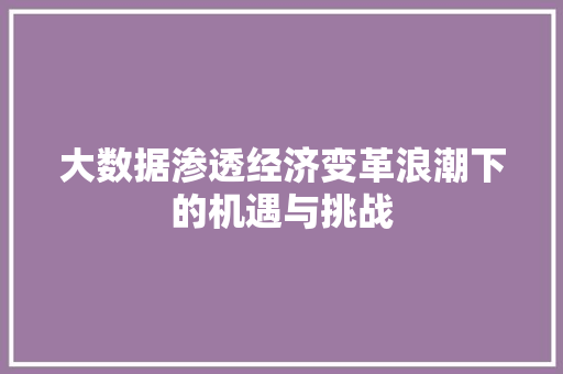大数据渗透经济变革浪潮下的机遇与挑战  第1张