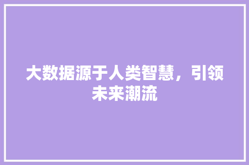 大数据源于人类智慧，引领未来潮流