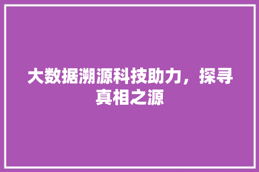 大数据溯源科技助力，探寻真相之源  第1张