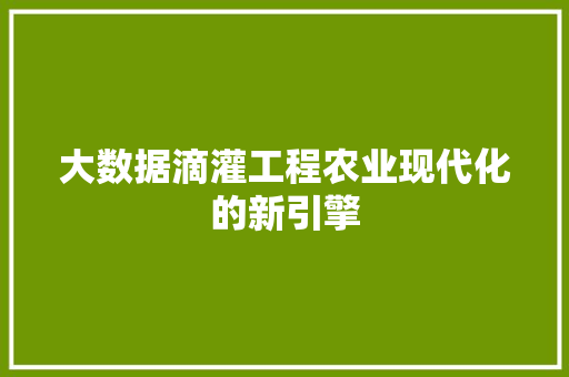 大数据滴灌工程农业现代化的新引擎