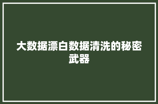 大数据漂白数据清洗的秘密武器  第1张
