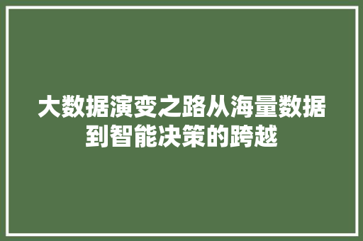 大数据演变之路从海量数据到智能决策的跨越