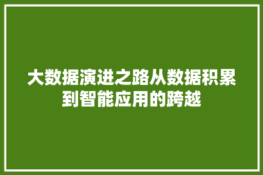 大数据演进之路从数据积累到智能应用的跨越