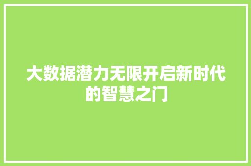 大数据潜力无限开启新时代的智慧之门