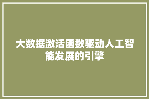大数据激活函数驱动人工智能发展的引擎