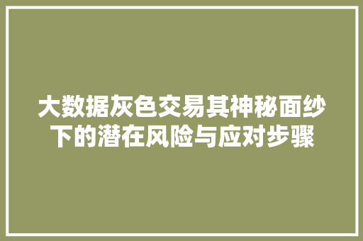 大数据灰色交易其神秘面纱下的潜在风险与应对步骤