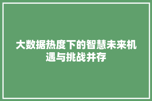 大数据热度下的智慧未来机遇与挑战并存