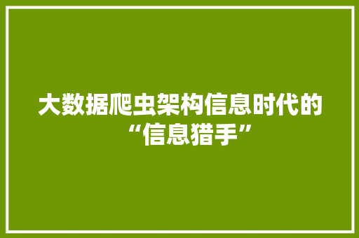 大数据爬虫架构信息时代的“信息猎手”