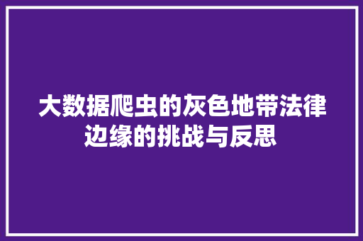 大数据爬虫的灰色地带法律边缘的挑战与反思