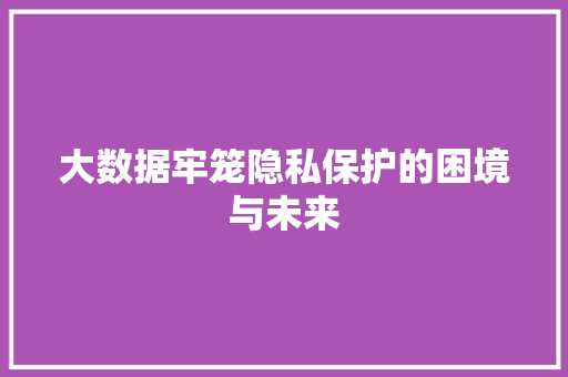 大数据牢笼隐私保护的困境与未来  第1张