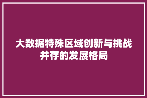 大数据特殊区域创新与挑战并存的发展格局  第1张