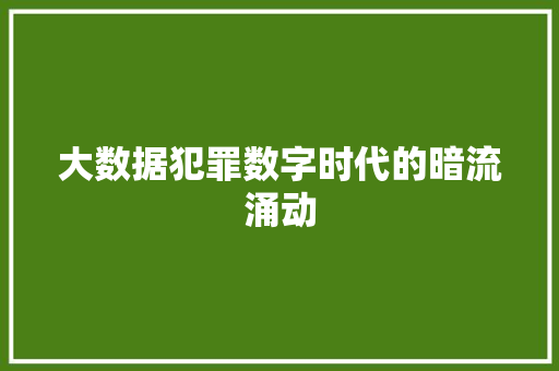 大数据犯罪数字时代的暗流涌动  第1张