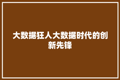 大数据狂人大数据时代的创新先锋  第1张