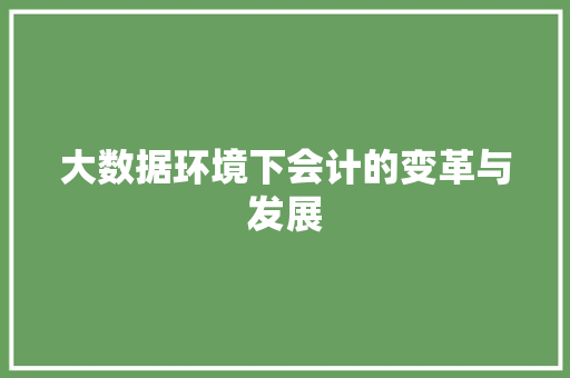 大数据环境下会计的变革与发展  第1张