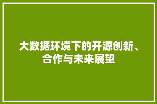 大数据环境下的开源创新、合作与未来展望  第1张