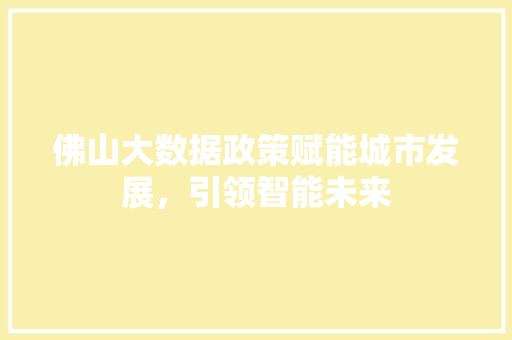 佛山大数据政策赋能城市发展，引领智能未来  第1张