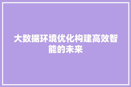 大数据环境优化构建高效智能的未来