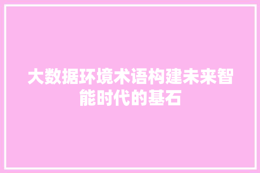 大数据环境术语构建未来智能时代的基石  第1张