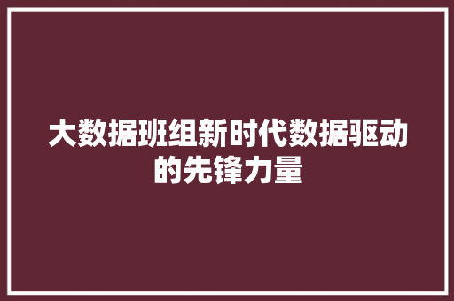大数据班组新时代数据驱动的先锋力量