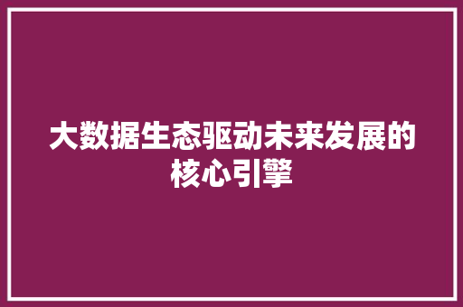 大数据生态驱动未来发展的核心引擎